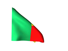 Vlag Benin