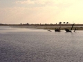 chobe2