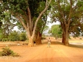 Sahel 1