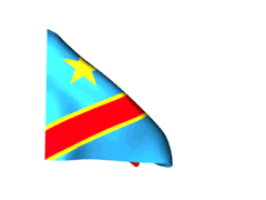 Vlag DR Congo