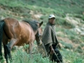 Lesotho man en paard