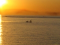 Malawi Foto Vissen