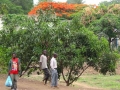 Malawi Foto STRAAT