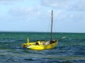 Mozambique visser