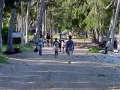 Mozambique zandweg