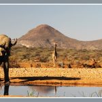 aards paradijs Namibie