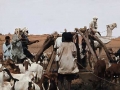Touareg bij put