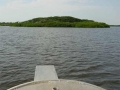 Vogeleiland