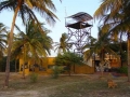 Zebrabar