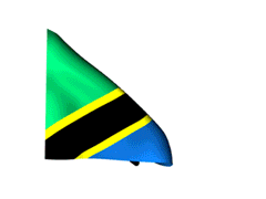 Tanzania vlag