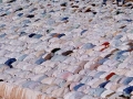 Ramadan Sahara