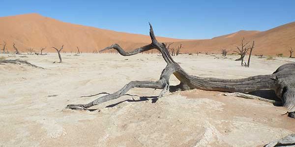 Individuele rondreis Namibië