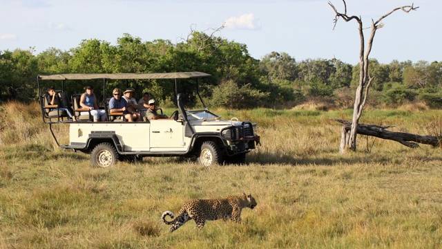 Fly In Luxury Safari Botswana