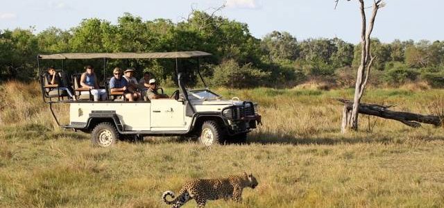 Fly In Luxury Safari Botswana