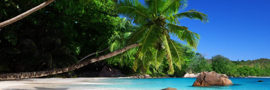 Idyllic Seychelles Island Hopping