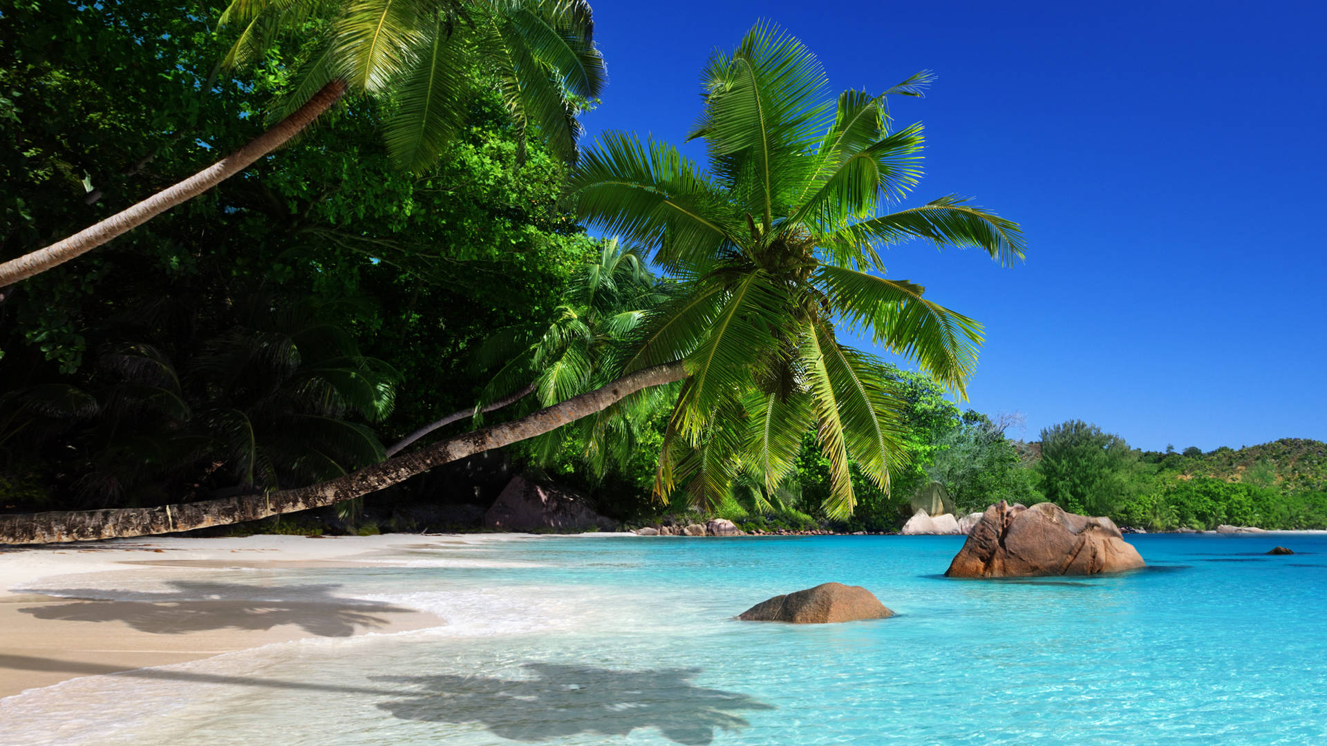 Idyllic Seychelles Island Hopping