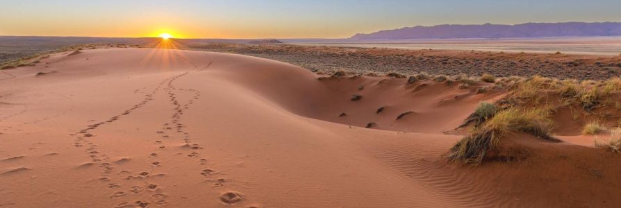 Discover Spectacular Namibia