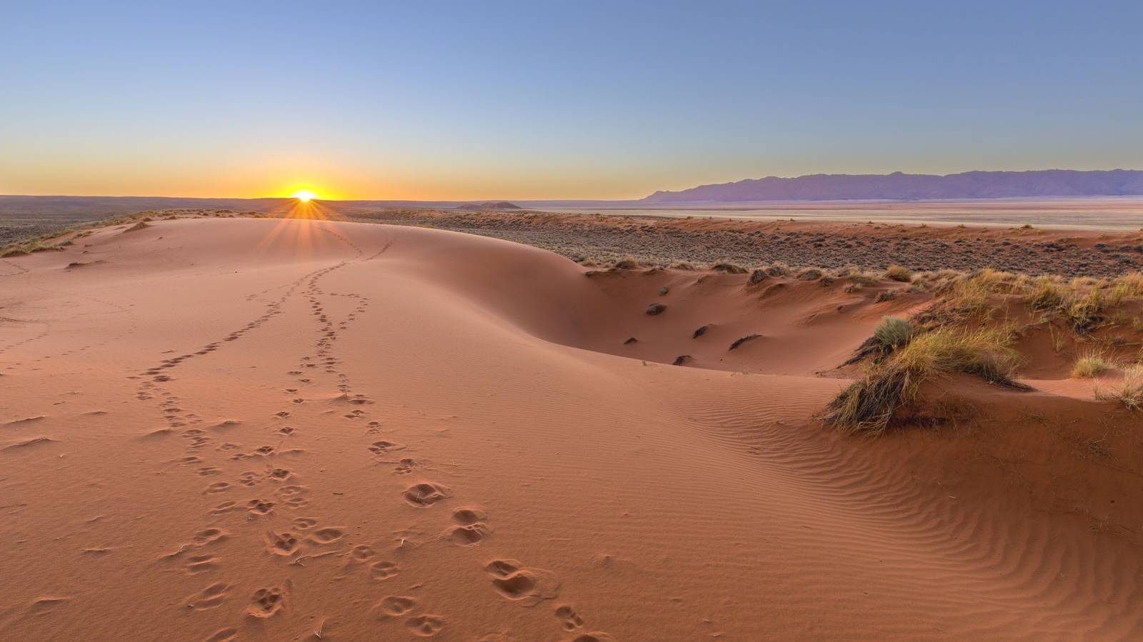 Discover Spectacular Namibia