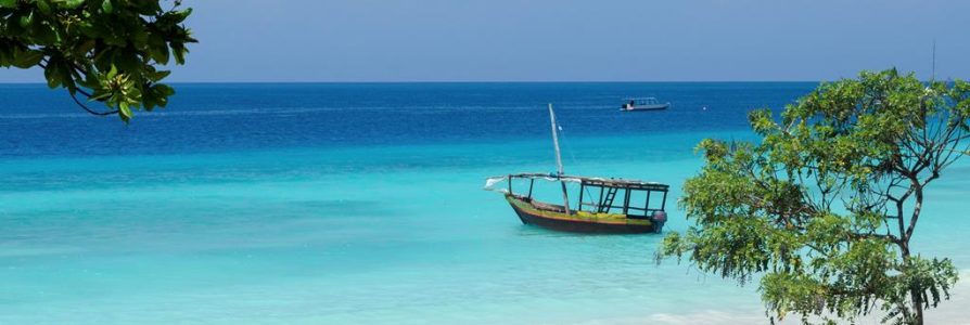 12 daagse safari Selous & Zanzibar deluxe