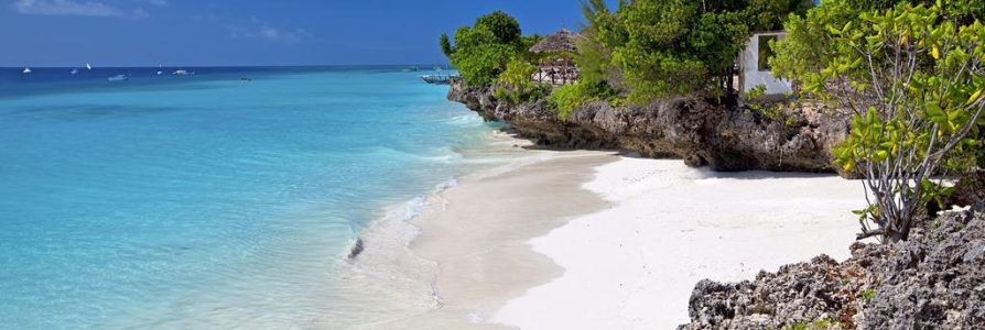 9 daagse safari Selous & Zanzibar deluxe