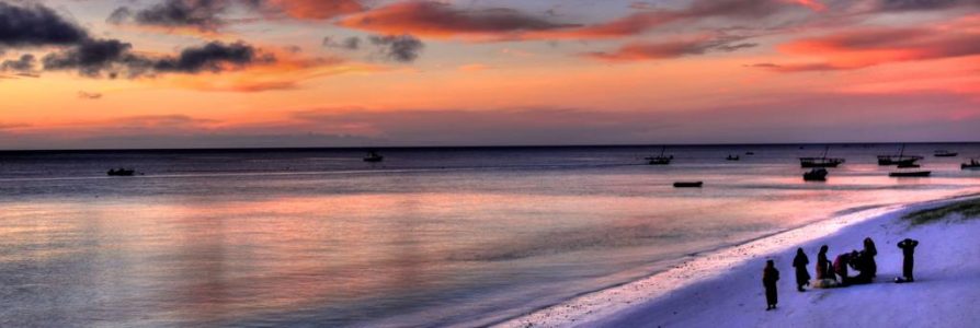 12 daagse safari Selous & Zanzibar