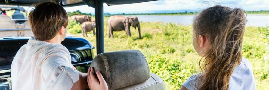 16-daagse familierondreis Zuid Afrika