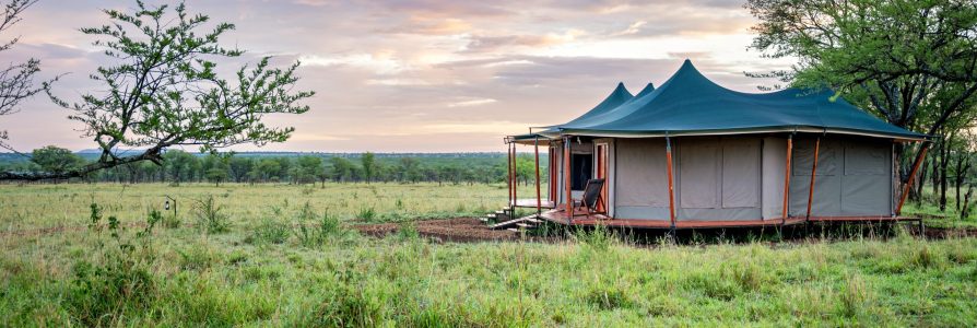 7 dagen safari klassiek Tanzania