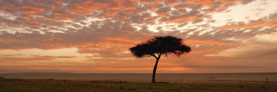Explore the Great Nature of Kenya