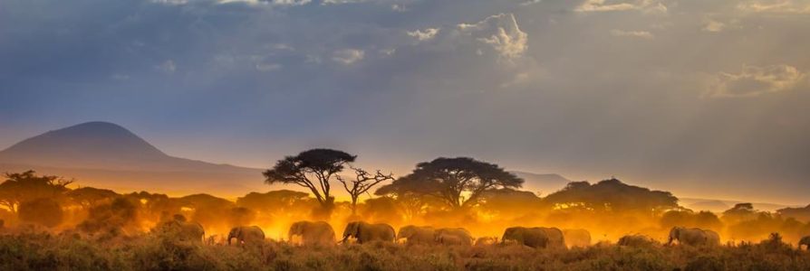 16 daagse safari Best of Kenya