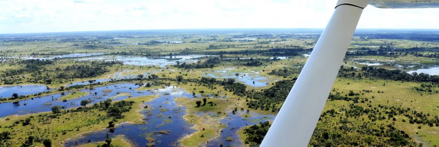 Luxe fly-in safari door Botswana