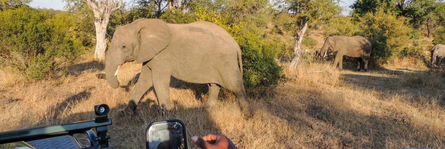 Rondreis langs de highlights van Zuid-Afrika