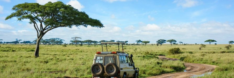Safarireis Tanzania in 8 dagen