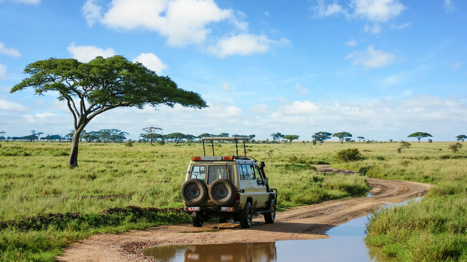 Safarireis Tanzania in 8 dagen