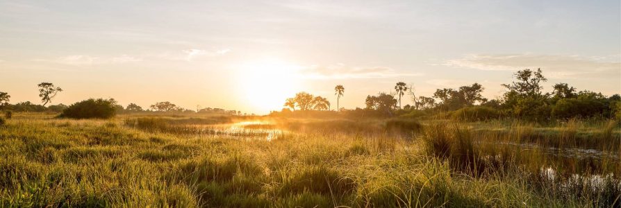 Rondreis Namibië & Botswana: perfecte match