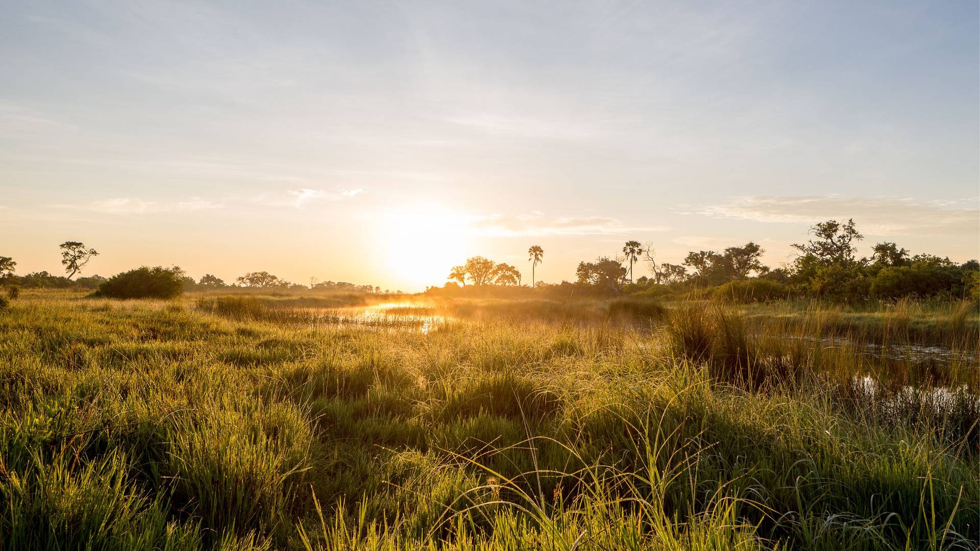 Rondreis Namibië & Botswana: perfecte match