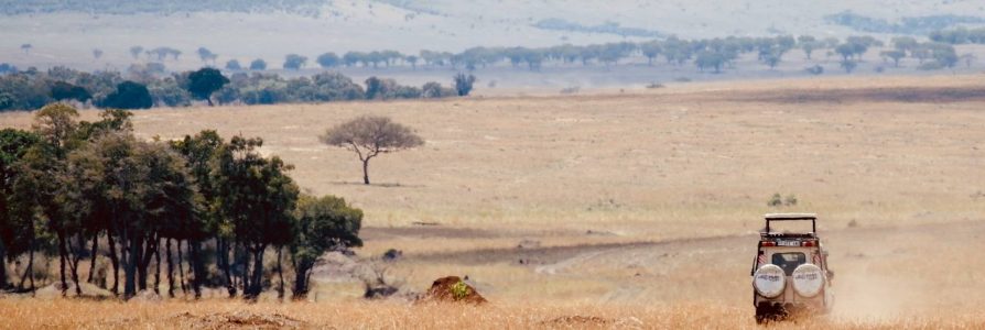 Rondreis Kenia & Tanzania: perfecte match