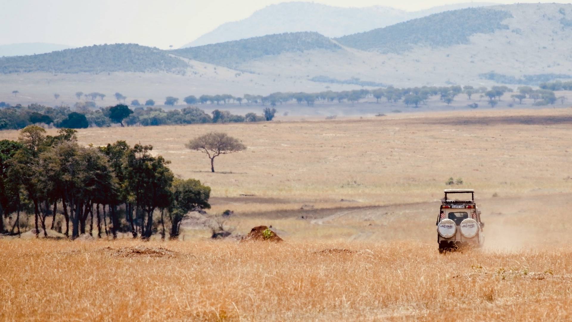 Rondreis Kenia & Tanzania: perfecte match