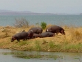 Zimbabwe hipo