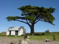 Zuid Afrika capepoint